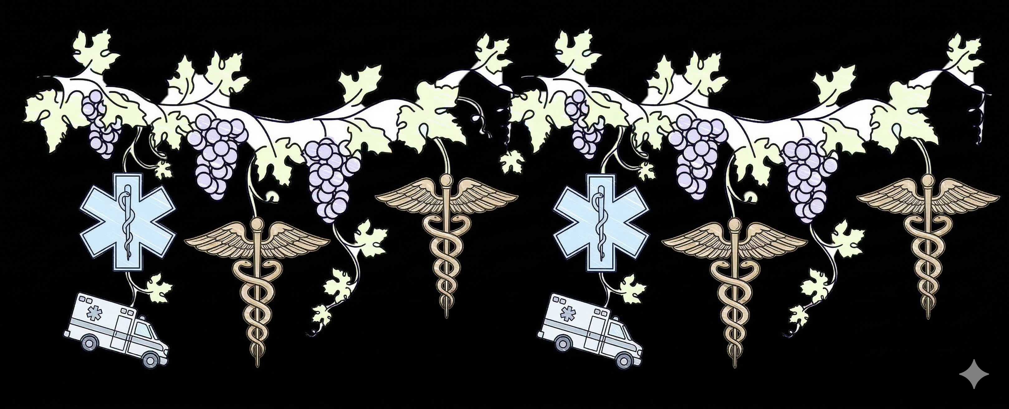 a grapevine with Stars of Life, Ambulances and medical caduceus hanging off of it 